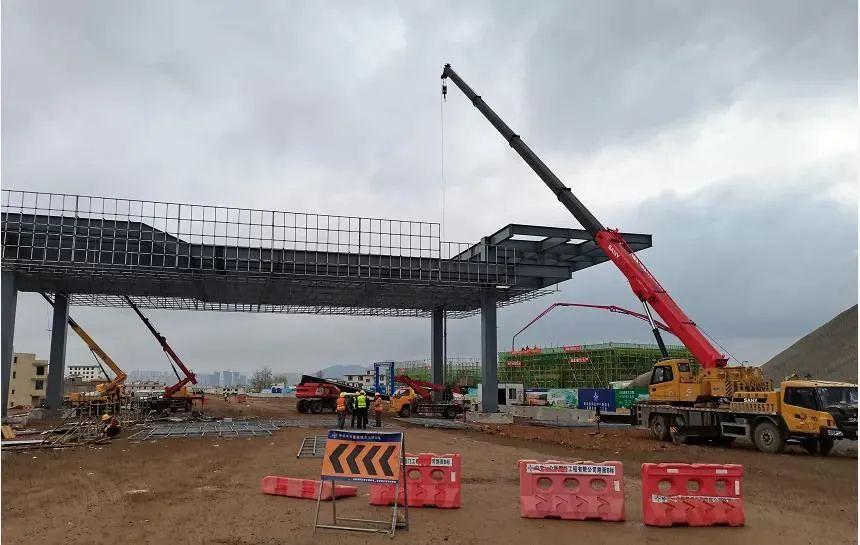 深度解析與探討，最新元龍劇情分析