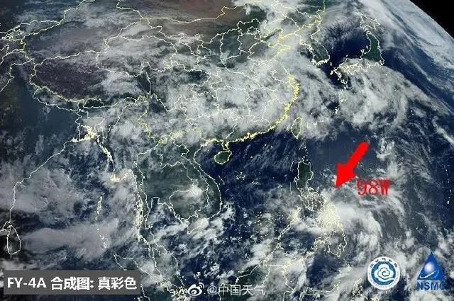 臺(tái)風(fēng)鸚鵡的最新動(dòng)態(tài)，逆風(fēng)翱翔的力量與學(xué)習(xí)魅力