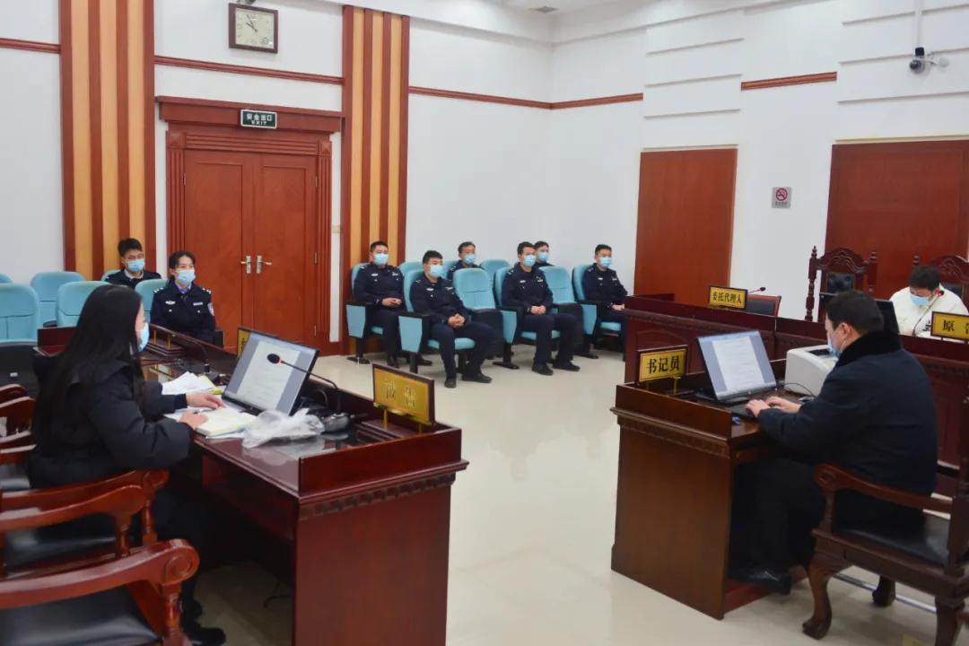 憲法案件最新動(dòng)態(tài)，小巷深處的情懷與特色小店的奇遇