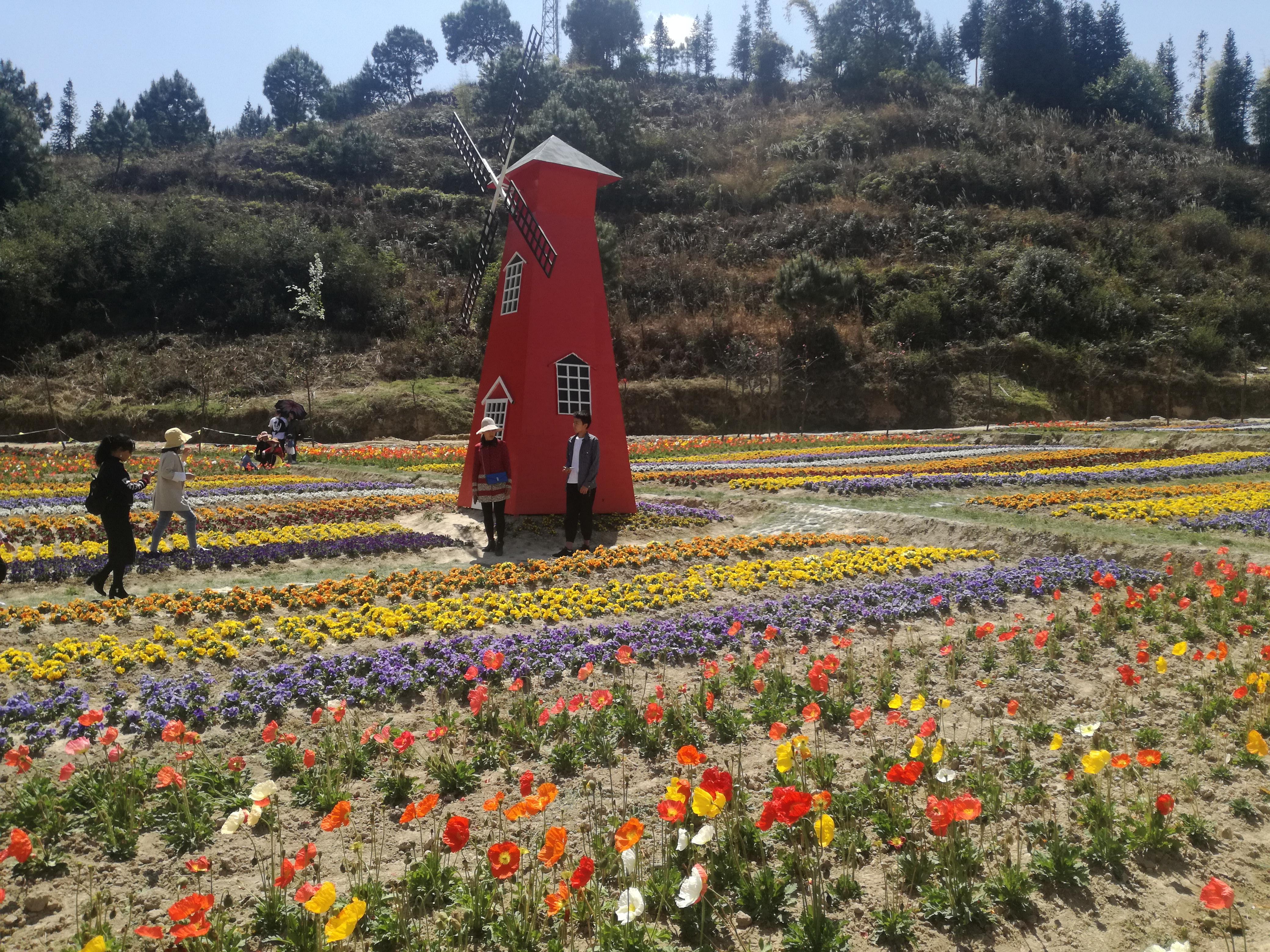 臨滄市最新探索，自然美景之旅，尋找內(nèi)心平和的旅程