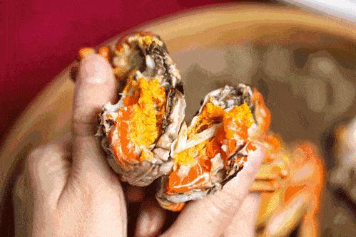 ??陽澄湖螃蟹上市季節(jié)情報，吃貨必知的秋季美味盛宴！??