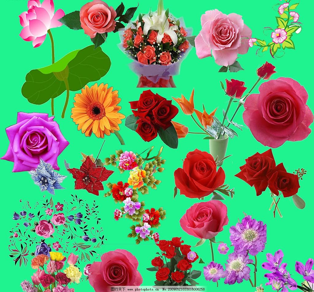 最新花款下載，愛與陪伴的溫馨之旅