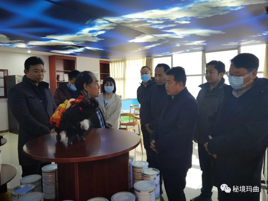 高原之寶上市，學(xué)習(xí)、蛻變與自信的輝煌之旅