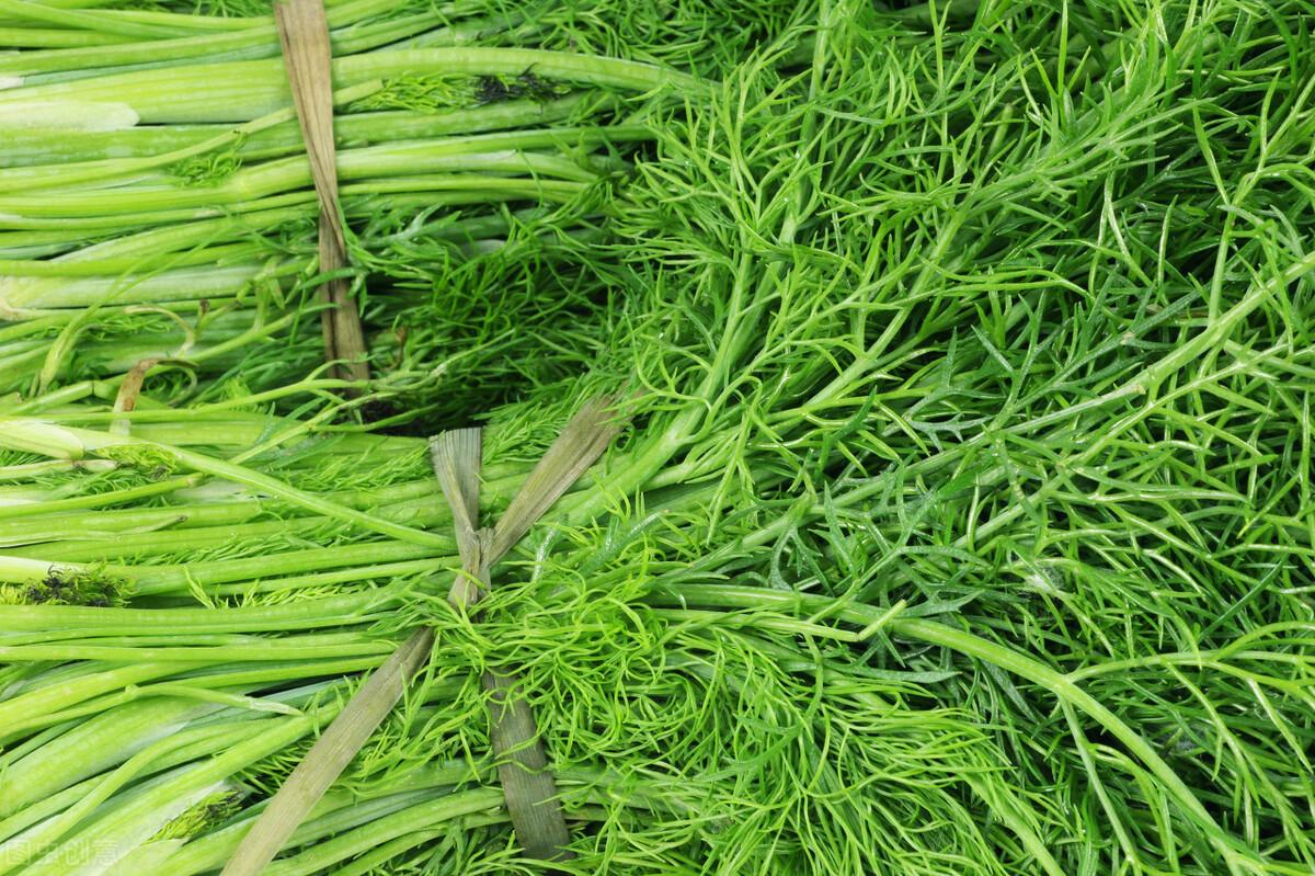 茴香價(jià)格動(dòng)態(tài)，香氣變化與你的關(guān)聯(lián)