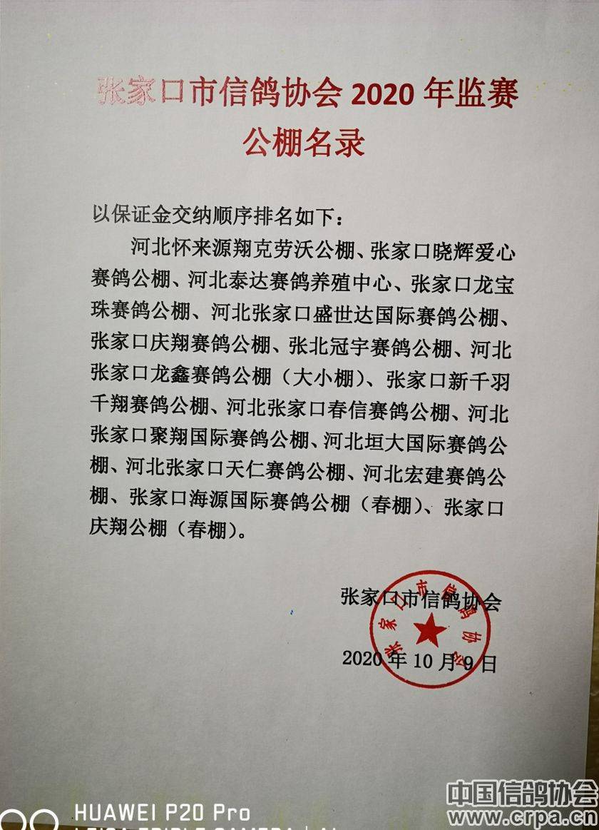 東光信鴿協(xié)會(huì)最新通告，小巷深處的獨(dú)特風(fēng)味揭秘與信鴿活動(dòng)更新通知