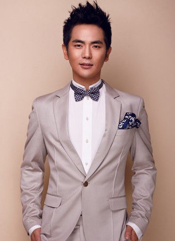 全面了解與欣賞張曉龍演過的電視劇，步驟指南及作品概覽