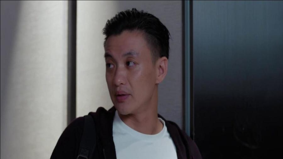 郭鑫年最新動態(tài)揭秘，小巷特色小店探索之旅