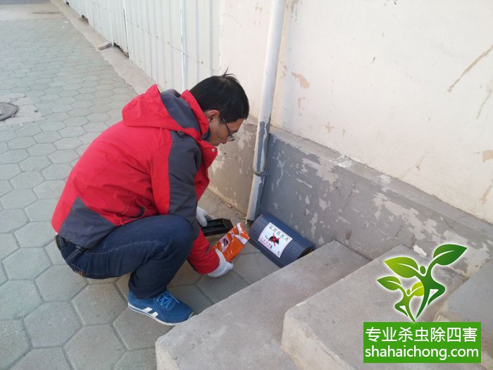 最新滅鼠技術(shù)的觀點論述與立場闡述，創(chuàng)新方法的探索與挑戰(zhàn)