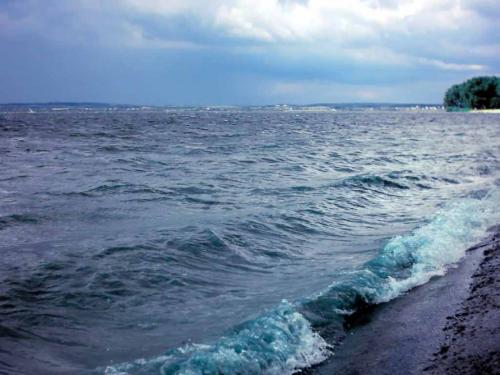 佳木斯新版，時代印記與變遷的見證者