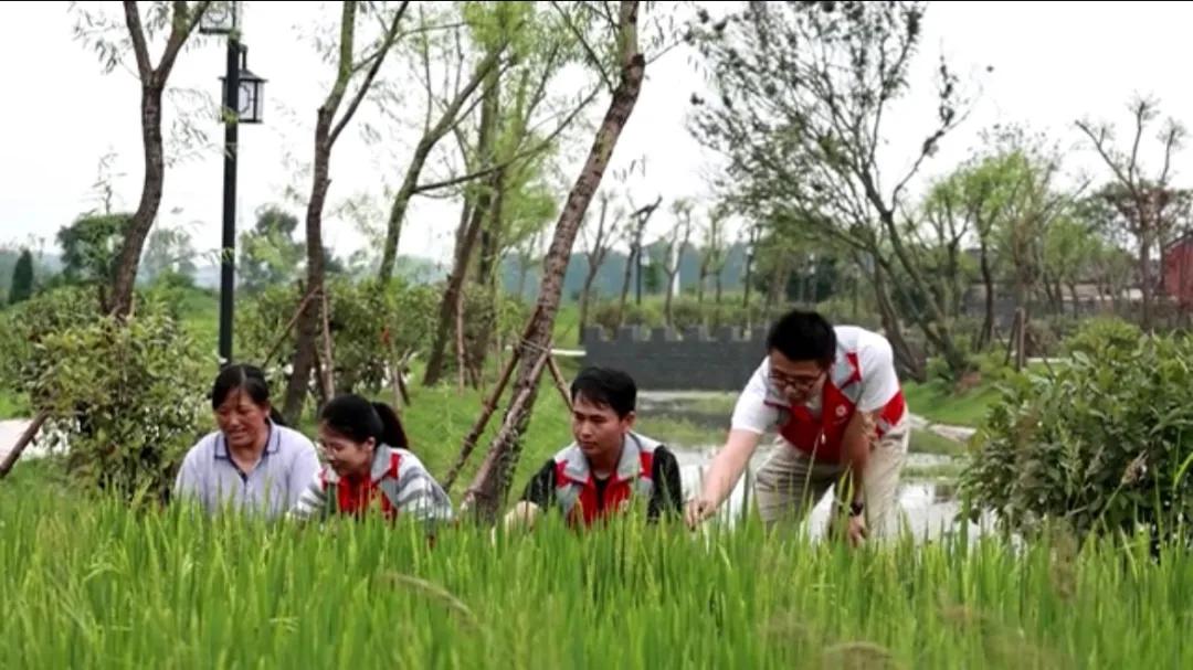 曲陽縣城最新招聘信息揭秘，小巷中的獨特小店等你來探索！