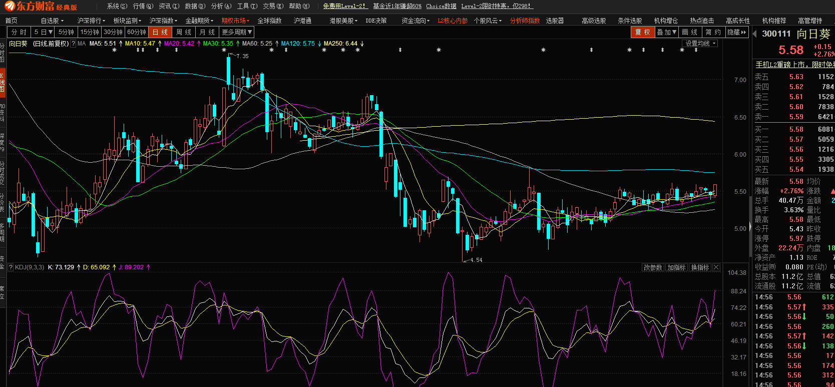 股市小天地，友情大天地——我與股票300141的日常故事分享