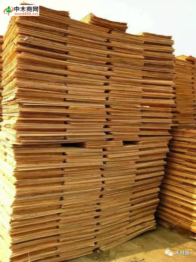 科技革新引領板皮廠行情，開啟板材加工新時代