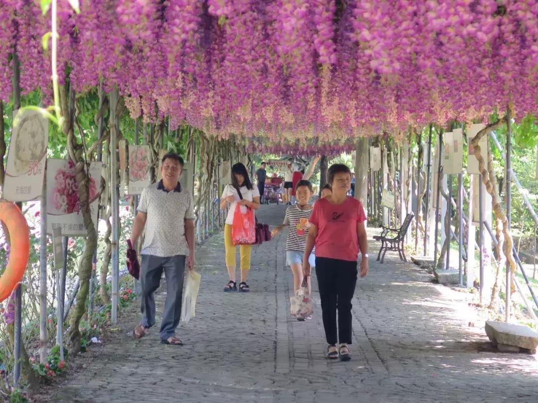 收入寶全新版本，家庭與友情的交織故事