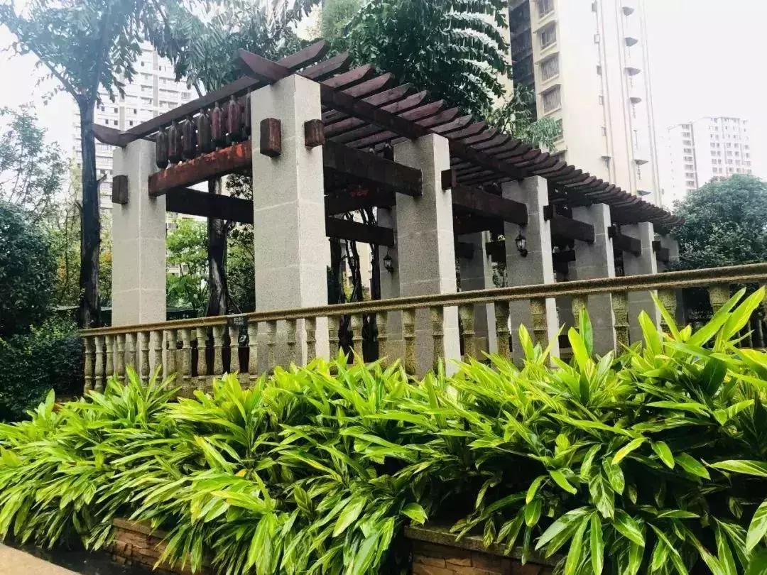 陽光江山金岸最新動態(tài)揭秘，全面指南與步驟詳解