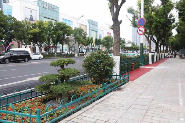 濰坊市奎文區(qū)改造工程，自然美景的探索之旅