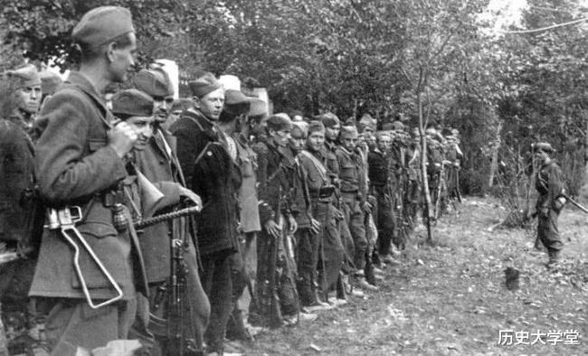 南斯拉夫電影二戰(zhàn)老片，自然美景背后的探索之旅