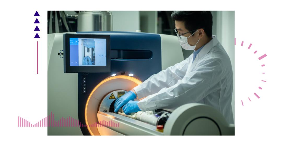 香港脊髓研究取得新進展，探索自然美景的心靈之旅新篇章