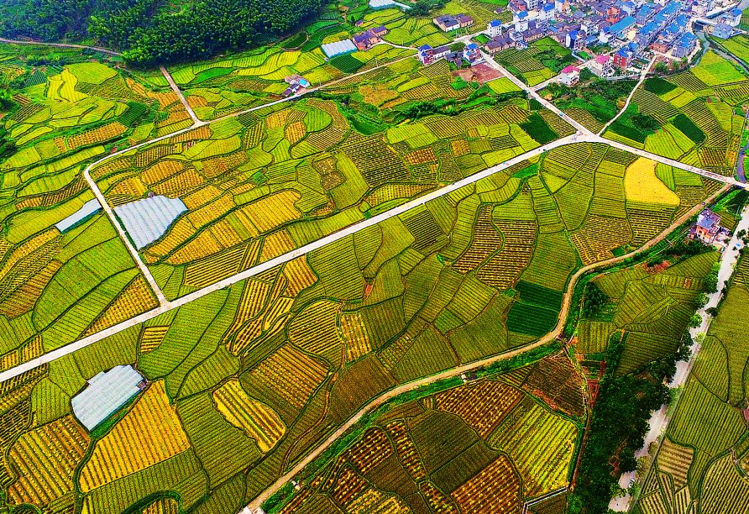 金竹最新規(guī)劃發(fā)布，開啟學(xué)習(xí)新篇章，培養(yǎng)自信與成就感的源泉