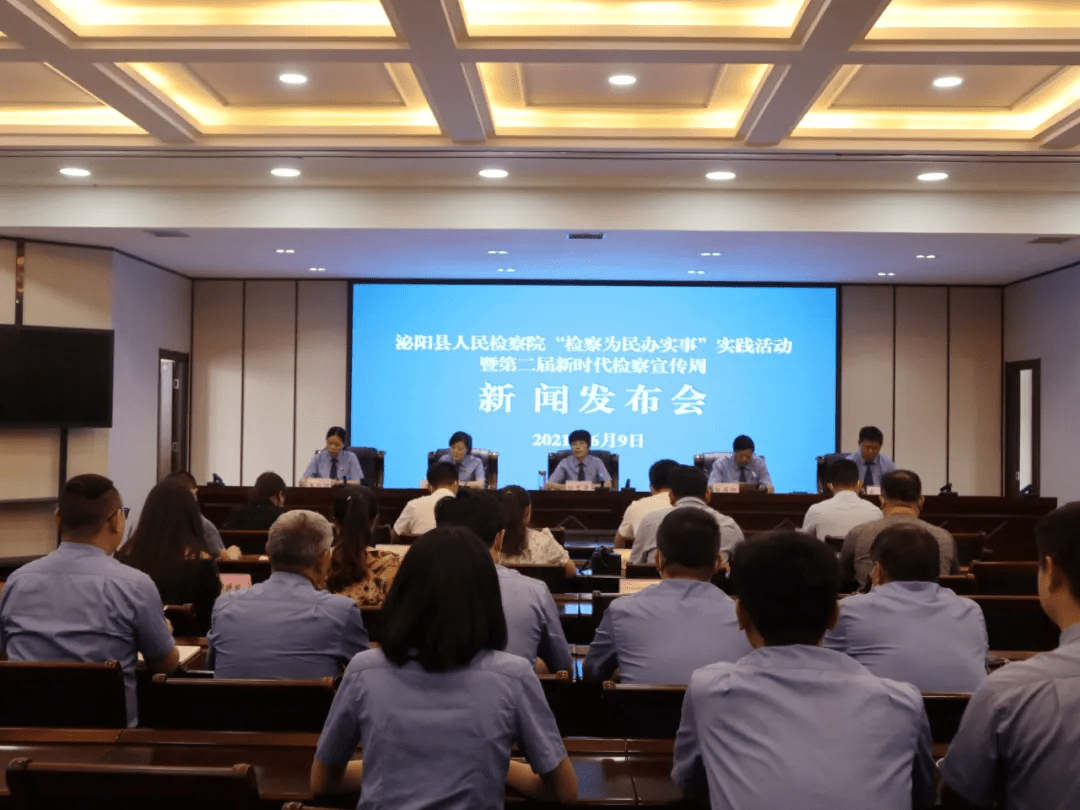 泌陽新聞最新動(dòng)態(tài)，多元視角下的觀察與思考