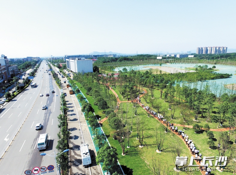 長沙黃橋大道崛起，夢想啟航之路最新動態(tài)