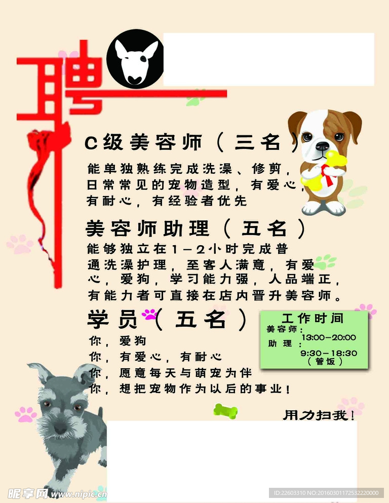 寵物店招聘最新動態(tài)，共探自然之美，尋求內(nèi)心寧靜