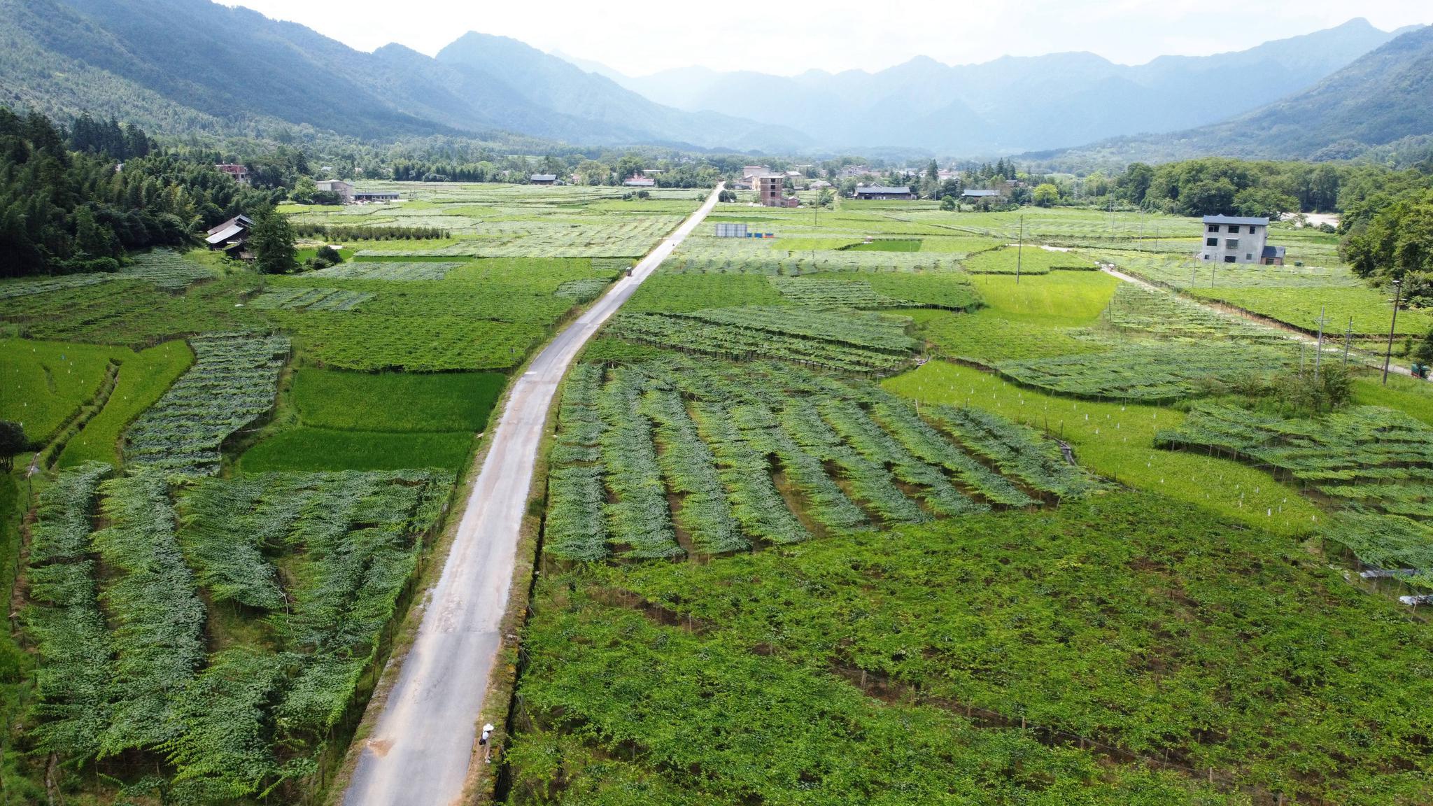 新文村，時(shí)代變遷下的文化繁榮與發(fā)展新篇章