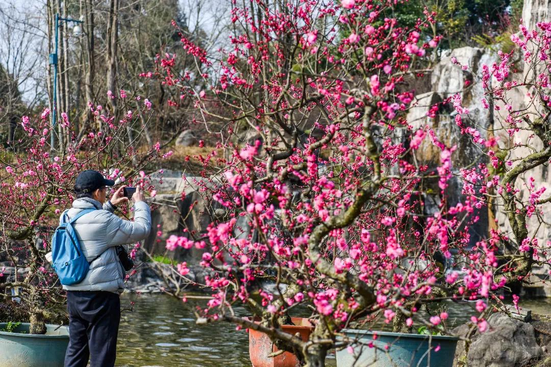 秀麗東方最新動(dòng)態(tài)，啟程探索自然之美，尋找內(nèi)心寧?kù)o之旅