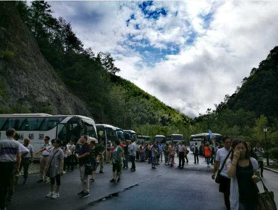 泰順高鐵最新動態(tài)更新，最新消息一覽