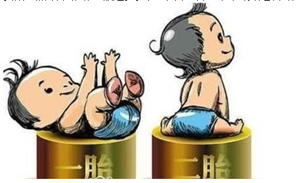 最新雙胞胎補(bǔ)助政策，攜手同行，助力孕育夢(mèng)想之路