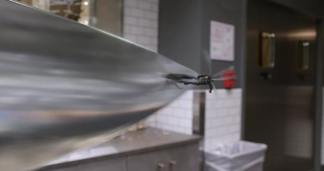 最新電泳技術，一路向前，學習成就自信之源