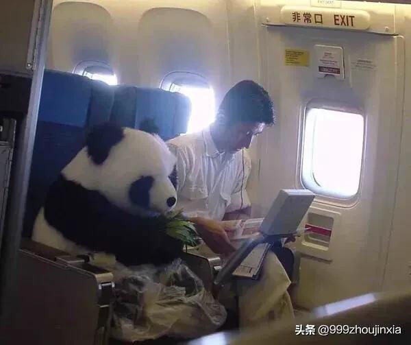 追逐變化之翼，學習鑄就自信與成就——虛幻最新探討