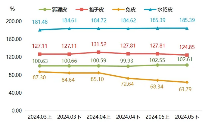 最新貉皮價(jià)格行情，市場(chǎng)走勢(shì)與友情交織的小插曲