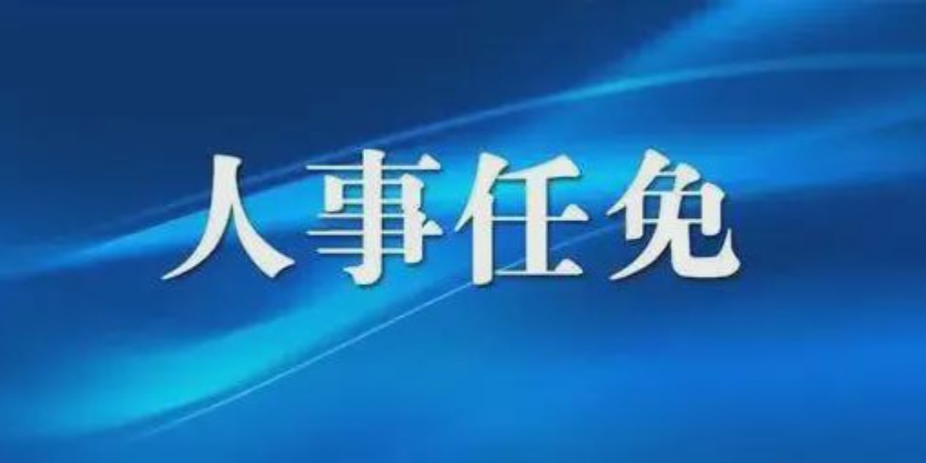 成都人事任免背后的故事，小巷獨(dú)特風(fēng)味小店與城市的脈動(dòng)