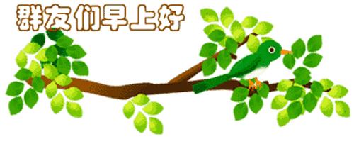 最新清晨祝福短信，晨曦中的溫暖問候，傳遞美好祝愿與關(guān)懷