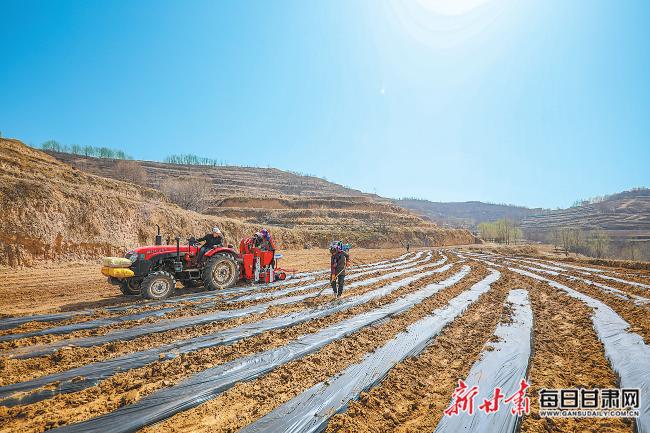 秦安最新新聞，城市溫情日常溫馨小事報(bào)道