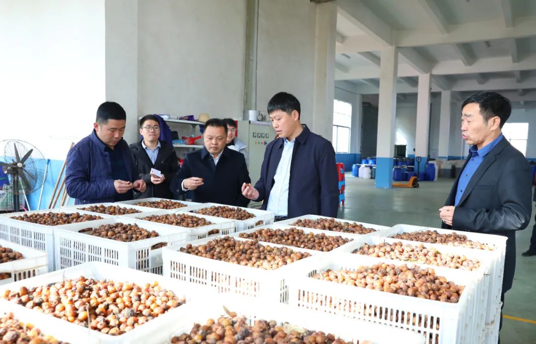 建寧最新新聞，城市溫馨日常與友情力量的展現(xiàn)