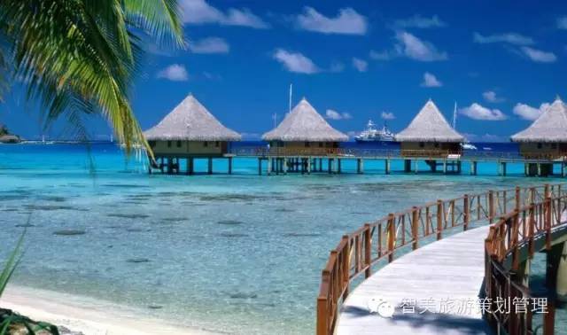 最新黃金島的溫馨日常探索