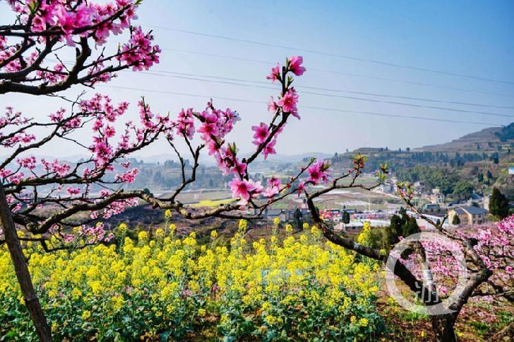 合川最新科技新聞，高科技產(chǎn)品引領(lǐng)未來(lái)生活潮流