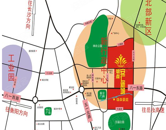 安仁雄森最新動(dòng)態(tài)揭秘，小巷中的隱藏寶藏！