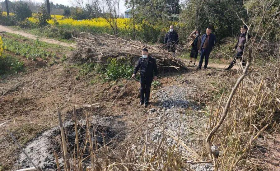 溧陽最新天氣，氣象變遷與地域影響探究