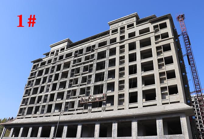平輿最新樓盤市場現(xiàn)狀與前景展望，深度解析市場趨勢與發(fā)展前景展望