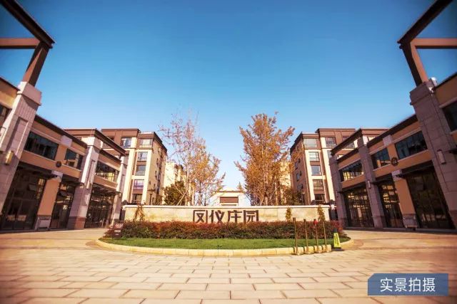 鳳儀莊園最新動態(tài)，家的溫馨與友情的綻放時刻