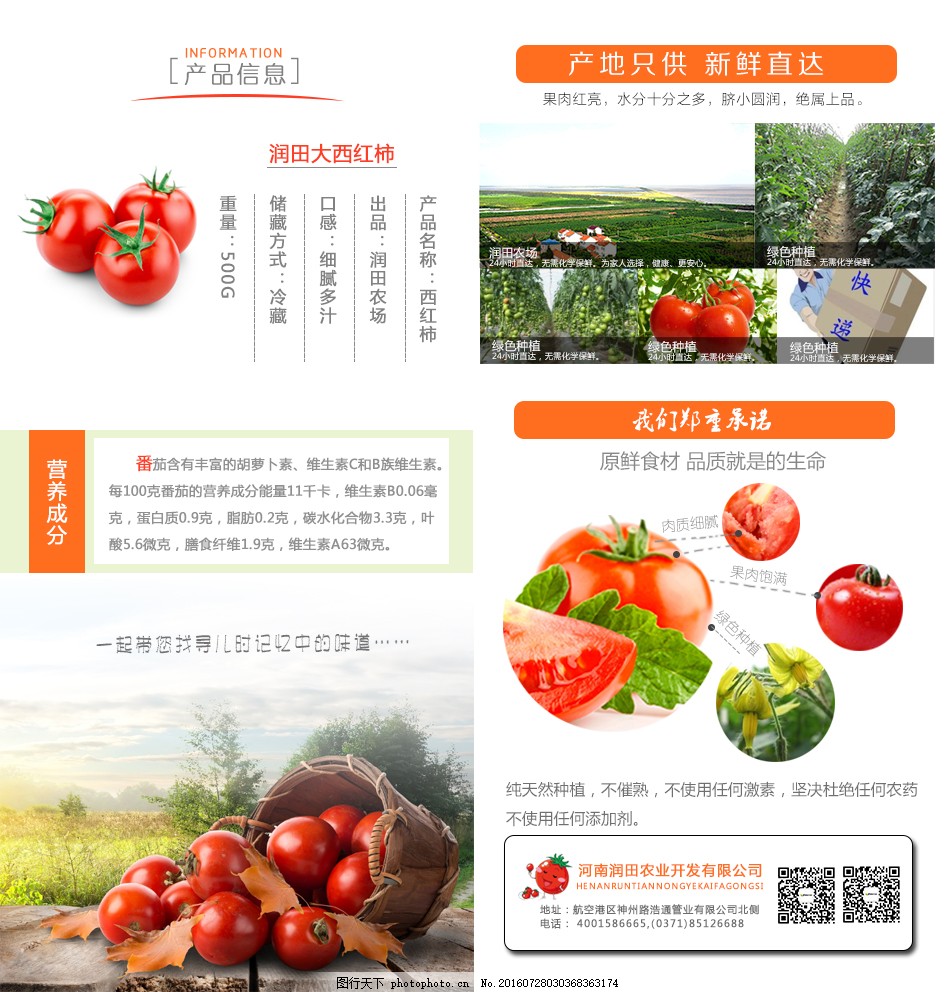 安徽西紅柿產(chǎn)地探秘，自然美景與鮮美西紅柿的邂逅之旅