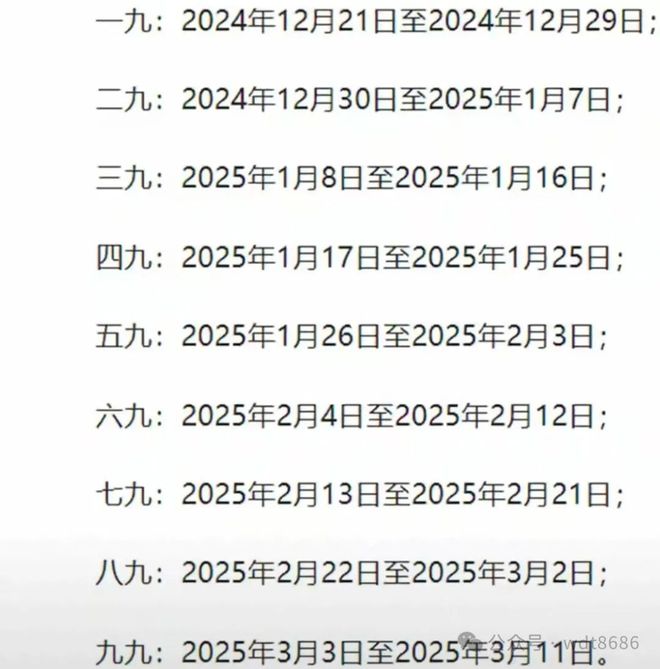 最新久久網(wǎng)2025，友情小船與溫馨日常的交織