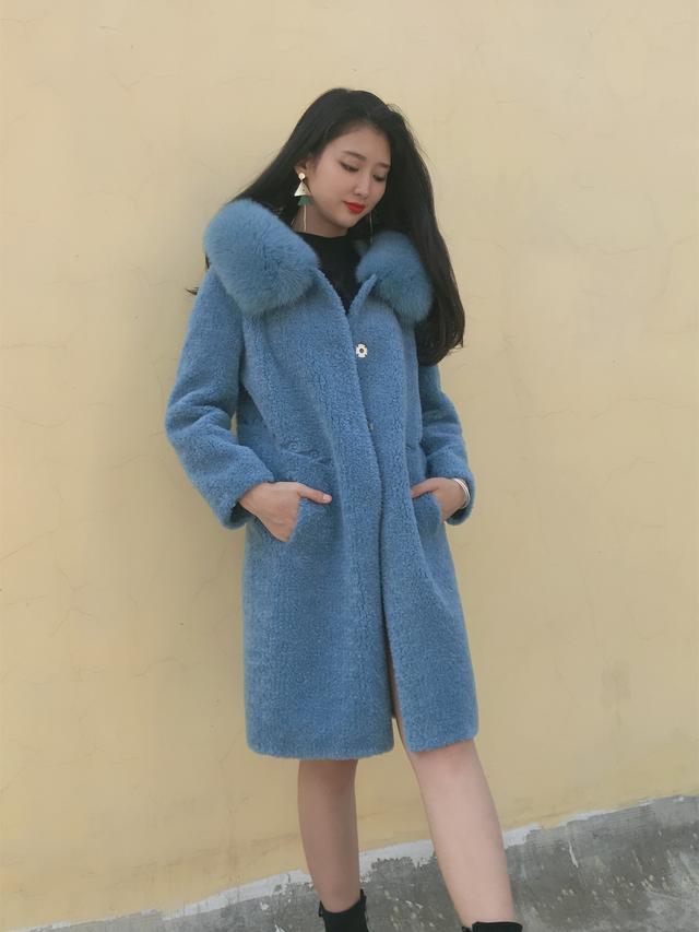 三七花最新價格揭秘，溫馨小故事中的尋找之旅