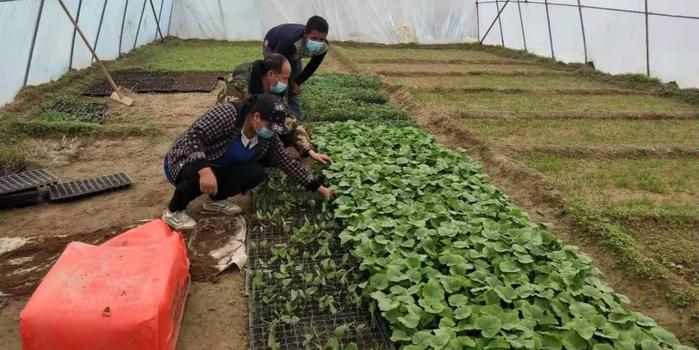 策勒最新招聘啟航人才新篇章，學(xué)習(xí)變化，擁抱自信與成就，啟程人生新征程！