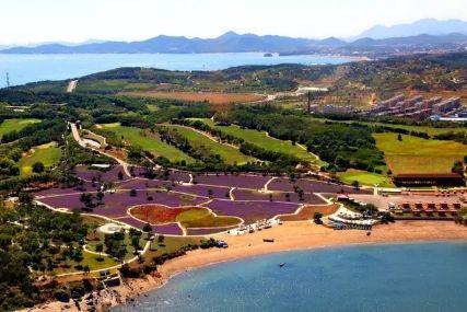 心悅海島探險(xiǎn)攻略，最新任務(wù)指南與探險(xiǎn)體驗(yàn)