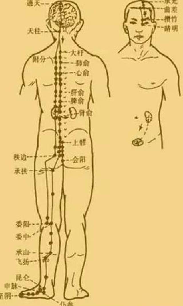 最新經(jīng)絡(luò)操，探索古老奧秘，重塑健康身姿