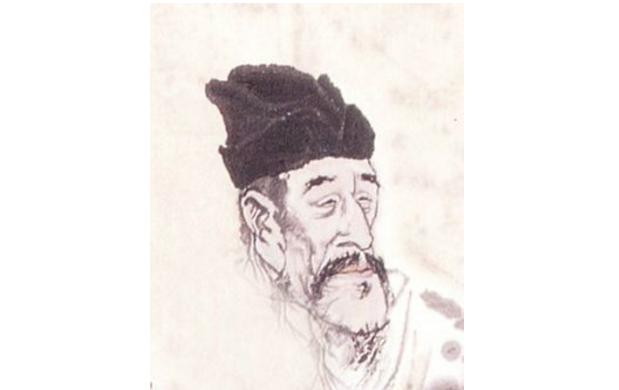 最新孤雁圖片，展現(xiàn)自然之美與深意的瞬間