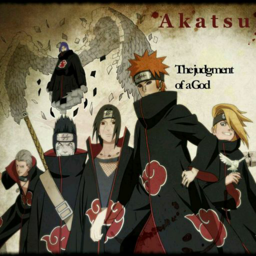 曉組織最新動(dòng)態(tài)揭秘，探究其發(fā)展與影響